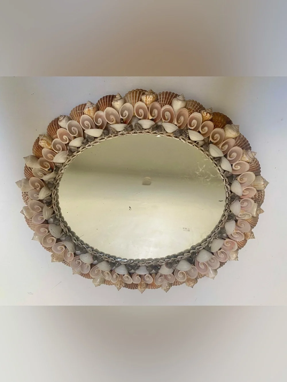 Vtg. Vintage Coquillage Seashell Oval Mirror Natural Shell Pastel Palette